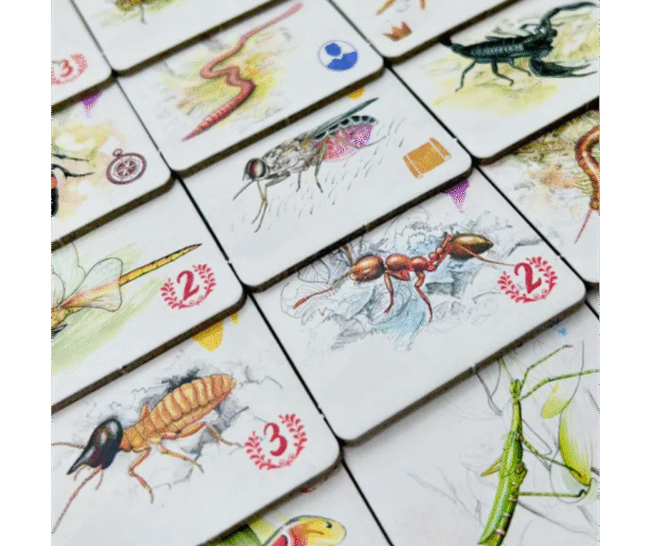 Tras Los Pasos De Darwin (ESP)